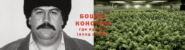 MESCALINE Баксан