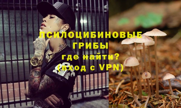 прущие крисы Балахна