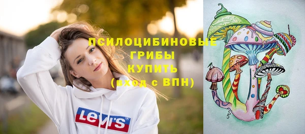 прущие крисы Балахна