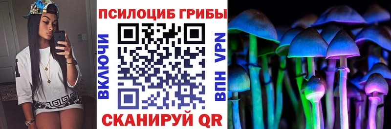 купить наркотик  Лиски  Псилоцибиновые грибы Psilocybine cubensis 